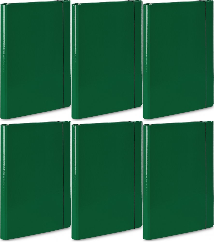 6x Teczka skrzydłowa z gumką VauPe, A4, 40mm, zielony