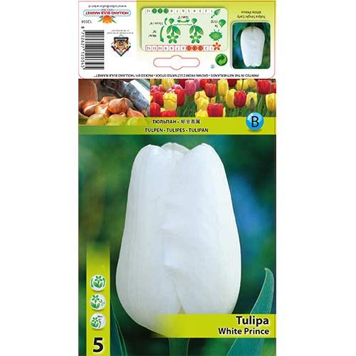 5 buc, Lalele White Prince - Bulbi: Mod de ambalare: 5 buc