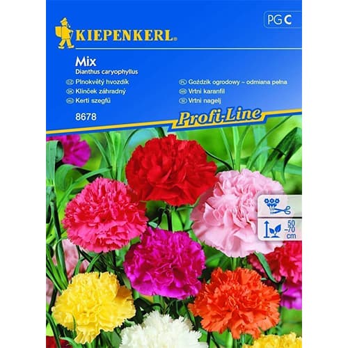 1 pac, Garoafă de grădină, mix multicolor - Semințe: Mod de ambalare: 1 pac