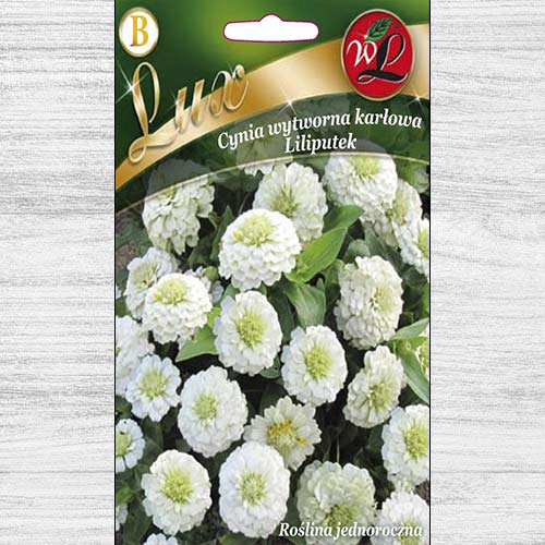 1 pac, Zinnia (Cârciumăreasă) Liliputek pitică albă - Semințe: Mod de ambalare: 0.5 g
