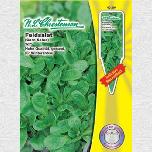 1 pac, Porumb Vit bio - Semințe: Mod de ambalare: 1 pac