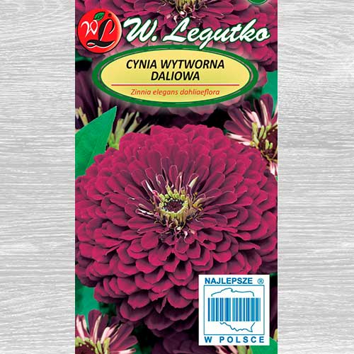 1 pac, Zinnia Violet Queen Legutko - Semințe: Mod de ambalare: 1 g