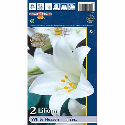 2 db, Liliom White Heaven - Hagymák: Mod de ambalare: 2 db