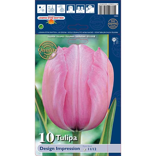 10 db, Tulipán Design Impression - Hagymák: Mod de ambalare: 10 db
