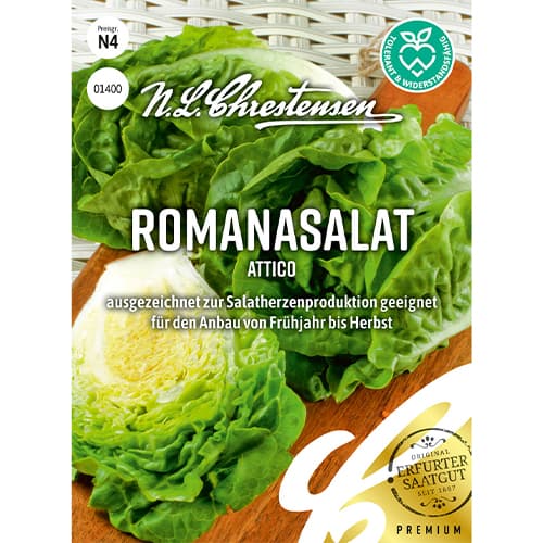 1 szt, Romanasalat Attico - Samen: Ilość w opakowaniu: 1 Stück