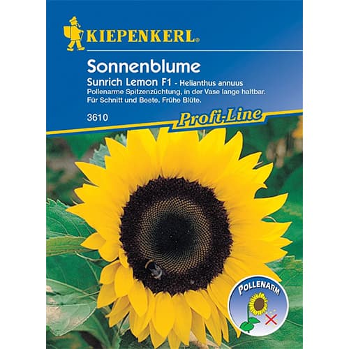 1 szt, Sonnenblume Sunrich Lemon F1 - Samen: Ilość w opakowaniu: 1 Stück