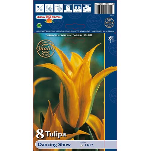 8 Stück, Tulpe Dancing Show - Blumenzwiebeln: Ilość w opakowaniu: 8 Stück
