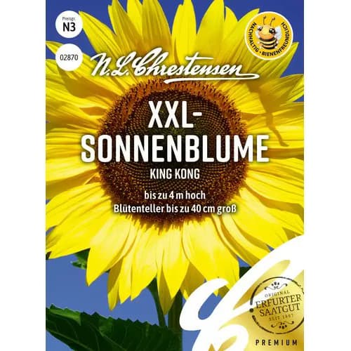 1 szt, XXL - Sonnenblume King Kong - Samen: Ilość w opakowaniu: 1 Stück