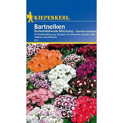 1 szt, Bartnelke Einfachblühende, Farbmischung - Samen: Ilość w opakowaniu: 1 Stück