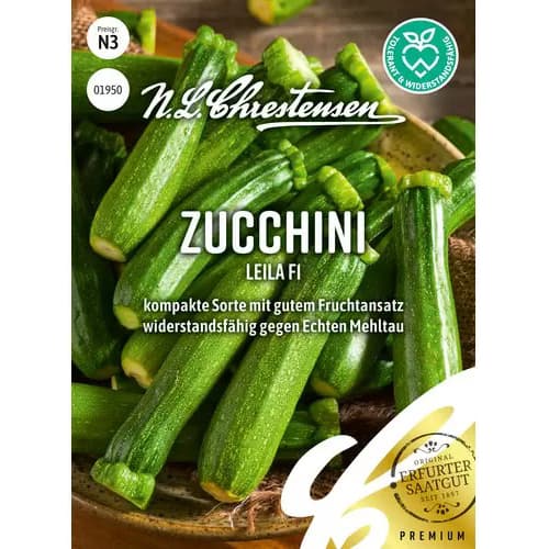 1 szt, Zucchini Leila F1 - Samen: Ilość w opakowaniu: 1 Stück