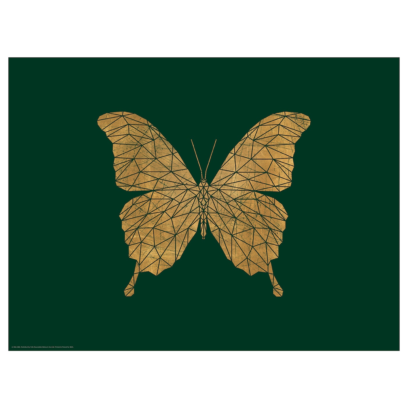 IKEA BILD Plakat, Kryształowy motyl, 40x30 cm
