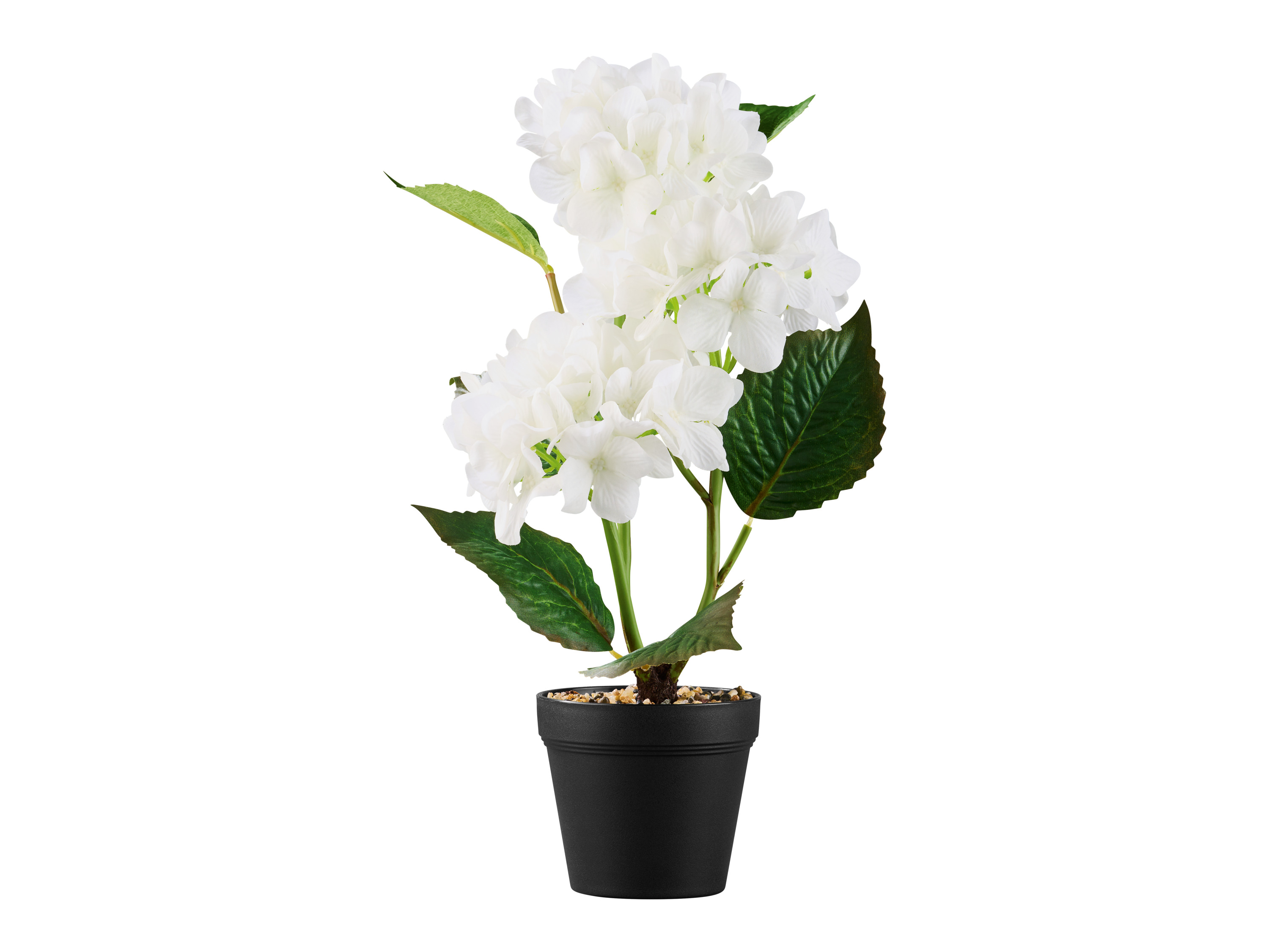 Livarno home Sztuczny kwiat Orchidea \ Trawa ozdobna \ Hortensja Hortensja