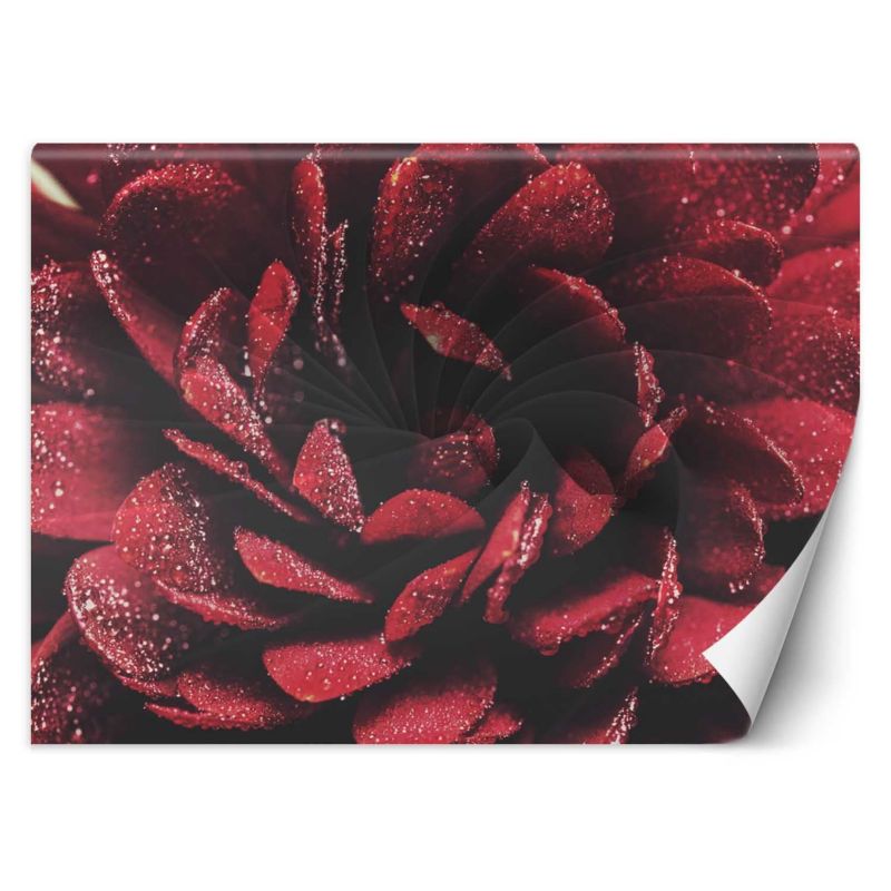 Fototapeta Feeby Kwiat makro 200x140 1 szt