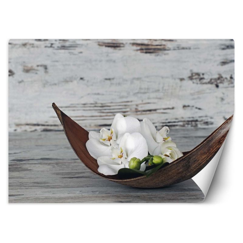 Fototapeta Feeby Orchidea zen spa 350x245 1 szt