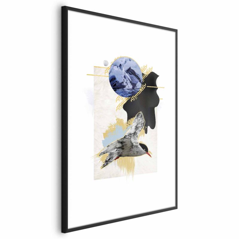 Plakat Artgeist Rybitwa antarktyczna 60x90 cm z ramą czarną 1 szt