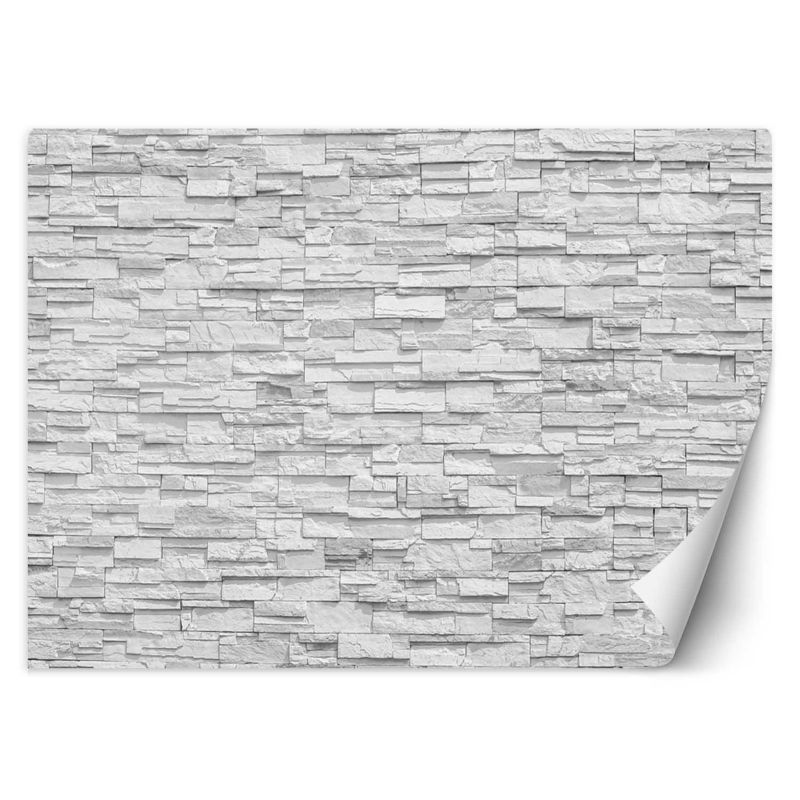 Fototapeta Feeby Mur z białych kamieni 100x70 1 szt