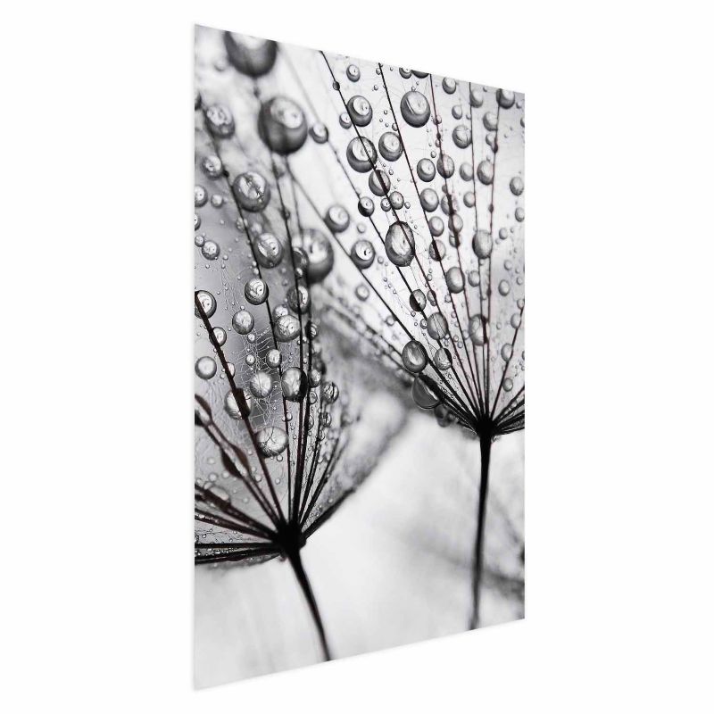 Plakat Artgeist Rosa 60x90 cm bez ramy 1 szt