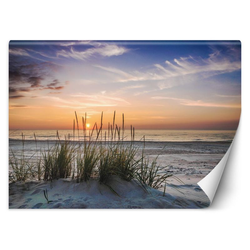 Fototapeta Feeby Zachód słońca na plaży 400x280 1 szt