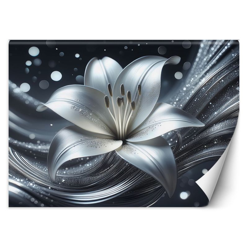Fototapeta Feeby Srebrny kwiat abstrakcji 150x105 1 szt