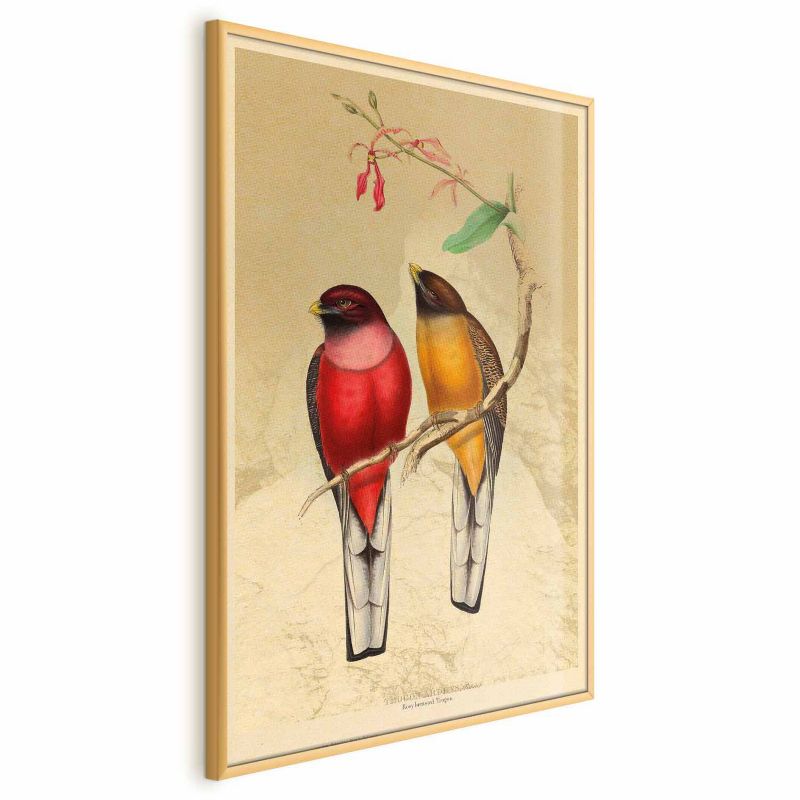 Plakat Artgeist Ptaki na gałązce 40x60 cm z ramą złotą 1 szt