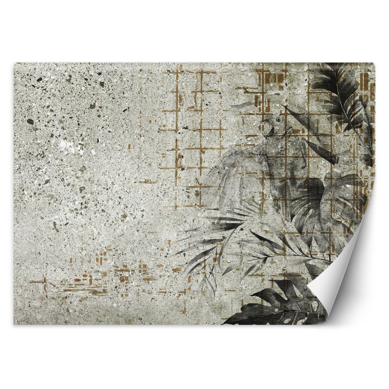 Fototapeta Feeby Monstera Liście betonowa ściana 150x105 1 szt