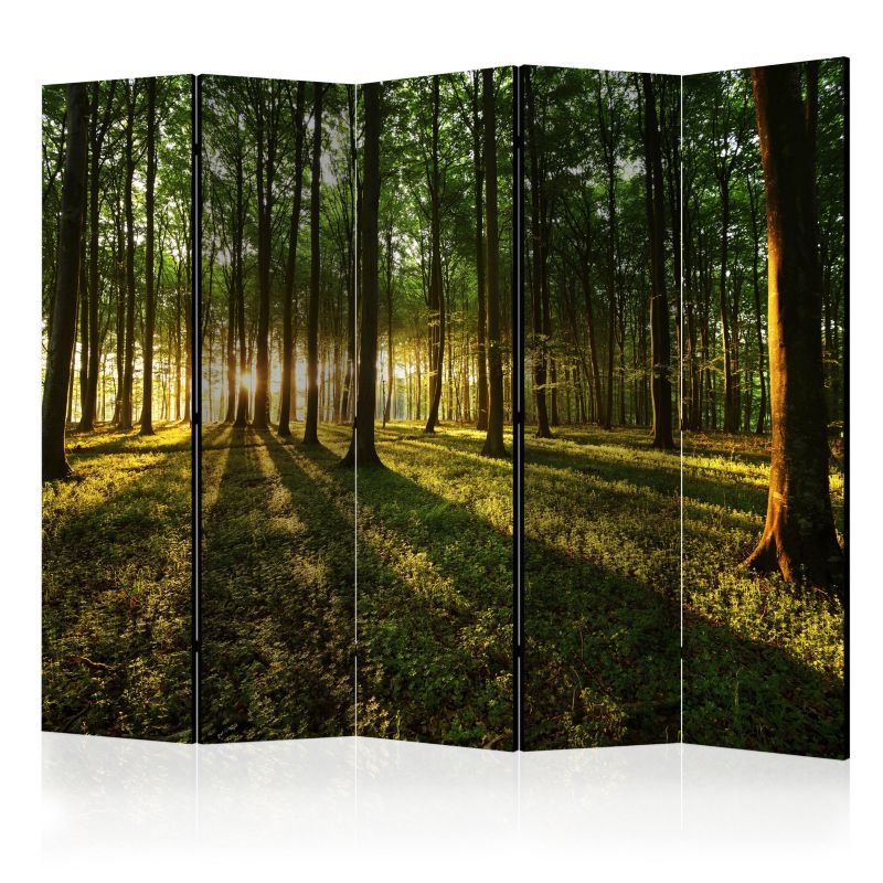 Parawan jednostronny Artgeist Pejzaże 225x172 cm Pejzaże 1 szt