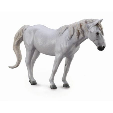 KOŃ RASY CAMARGUE GREY