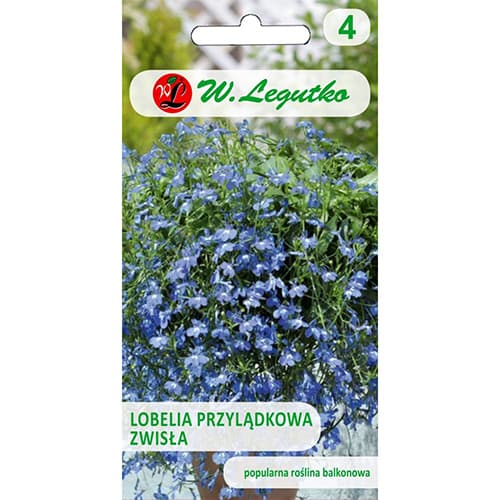 1 szt, Lobelia zwisła niebieska - Nasiona: Ilość w opakowaniu: 0.2 g