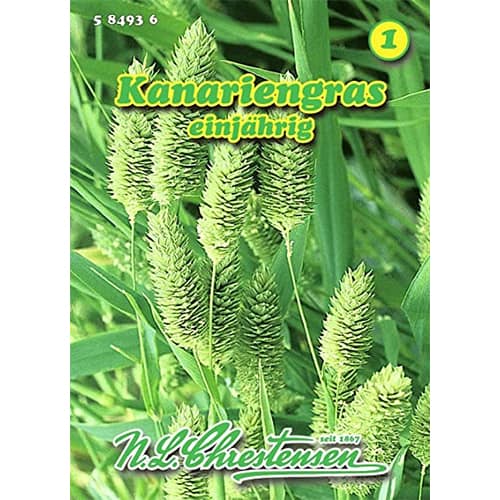 Mozga kanaryjska (Phalaris canariensis) - Nasiona. Ilość w opakowaniu: 1 opak - GradinaMax