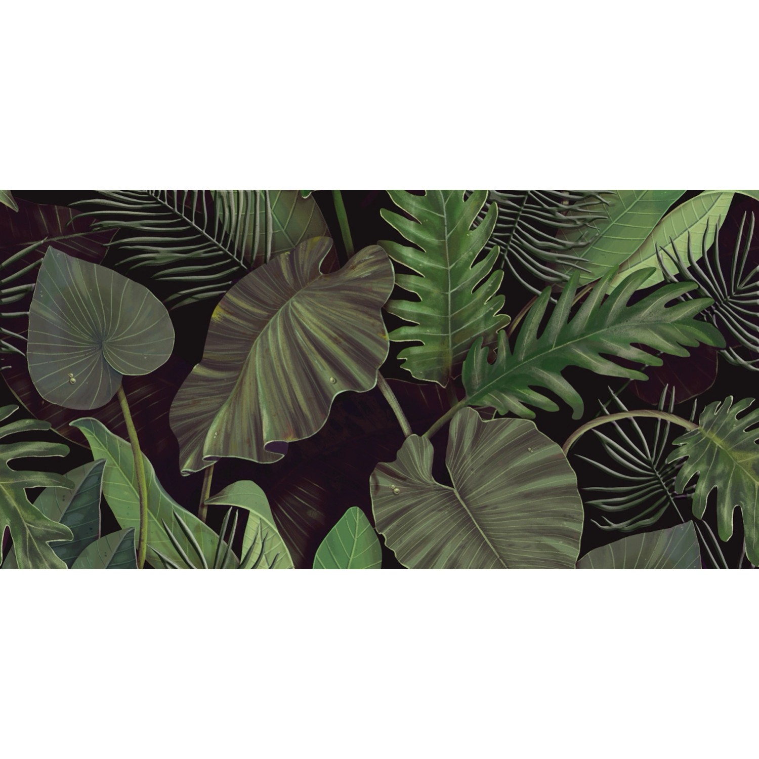 Alfa-Cer Dekor Botanic green A 30 x 60 cm