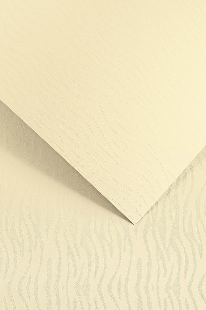 5x Karton ozdobny Pacific Galeria Papieru, A4, 200g/m2, 20 arkuszy, kremowy