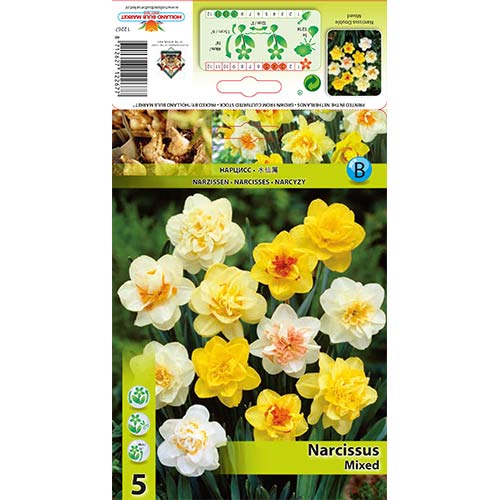 5 buc, Narcise double mix multicolor - Bulbi: Mod de ambalare: 5 buc