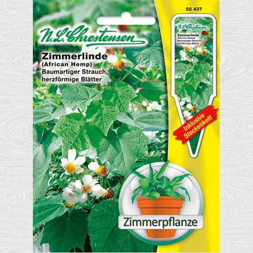 1 pac, Sparmannia africana (Tei de cameră) - Semințe: Mod de ambalare: 1 pac