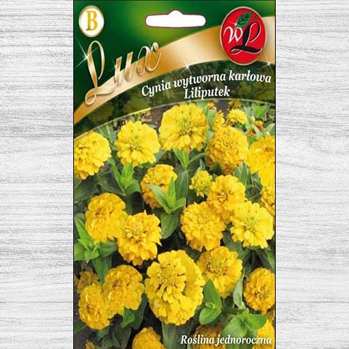 1 pac, Zinnia (Cârciumăreasă) Liliputek pitică galbenă - Semințe: Mod de ambalare: 0.5 g