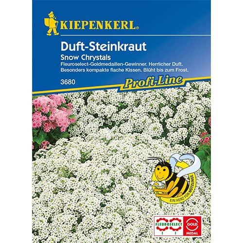 1 pac, Alyssum Maritima Snow Crystals - Semințe: Mod de ambalare: 1 pac