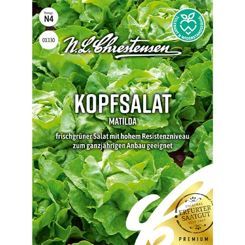 1 szt, Saláta zöld Matilda - Magok: Mod de ambalare: 1 db