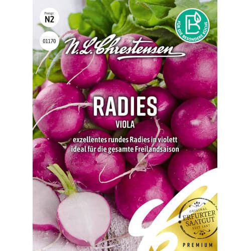 1 szt, Radies Viola Chrestensen - Samen: Ilość w opakowaniu: 1 Stück