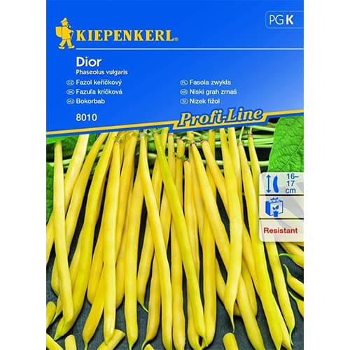 1 szt, Buschbohne Dior - Samen: Ilość w opakowaniu: 1 Stück