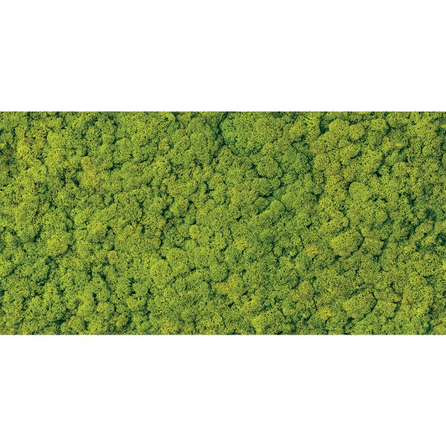 Płytka ścienna inserto Alfa-Cer szklana NEXT MOSS GLASS green 29,8x59