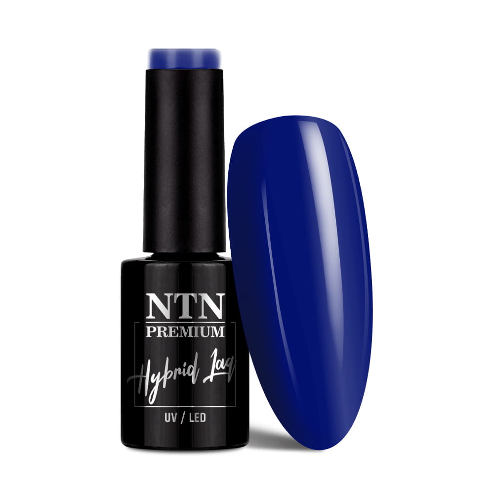 Lakier hybrydowy Ntn Premium Splash Collection 5 g Nr 125