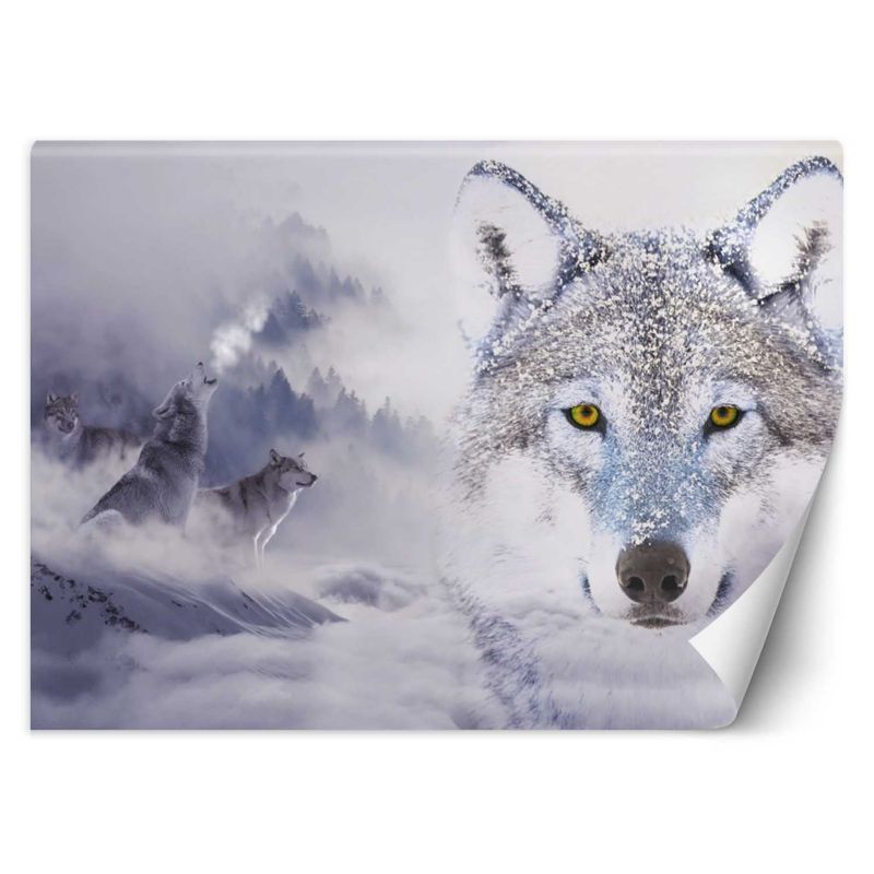 Fototapeta Feeby Wilki zima las we mgle 250x175 1 szt