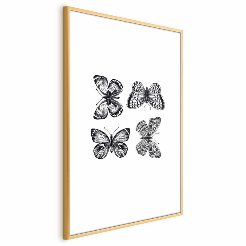 Plakat Artgeist Cztery motyle 60x90 cm z ramą złotą 1 szt