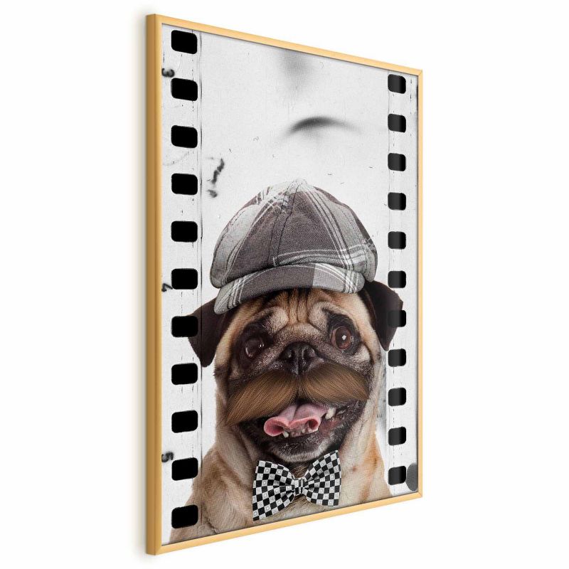 Plakat Artgeist Mops w czapce 21x30 cm z ramą złotą 1 szt
