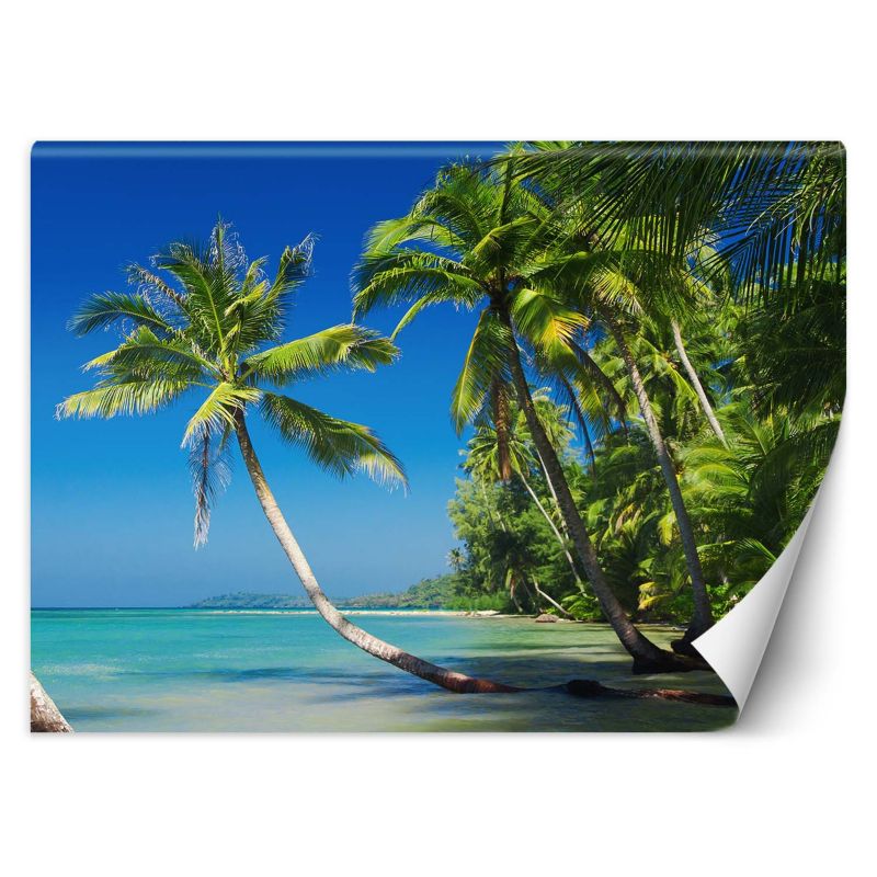 Fototapeta Feeby Palmy na dzikiej wyspie 100x70 1 szt