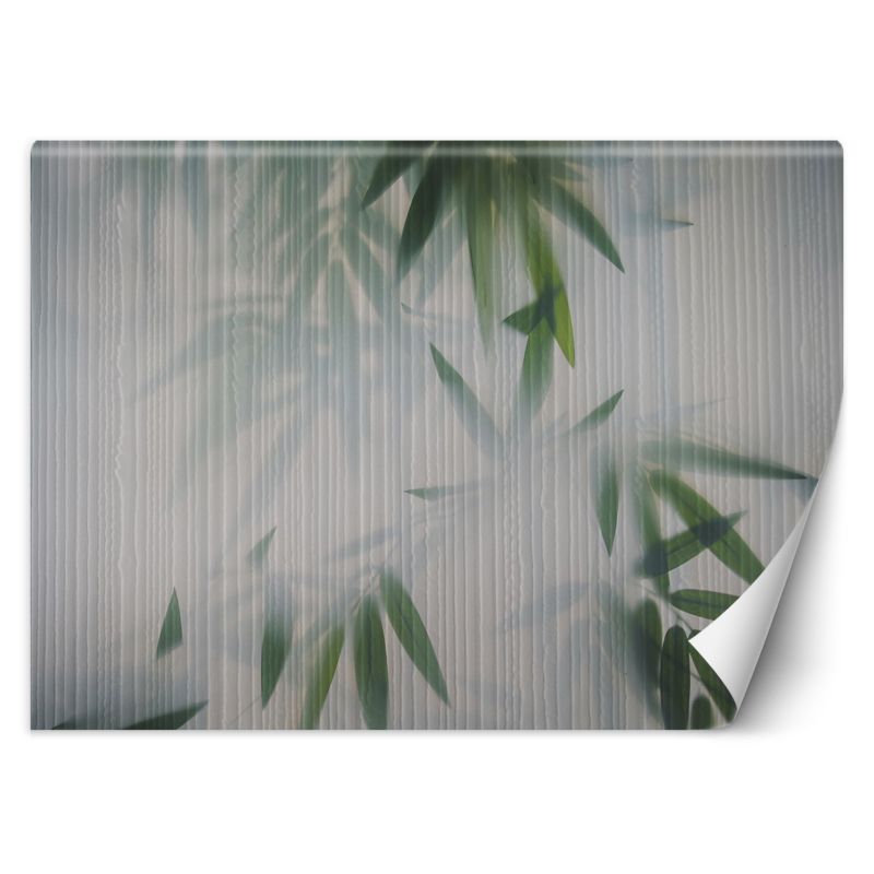 Fototapeta Feeby Liście mgła natura 400x280 1 szt