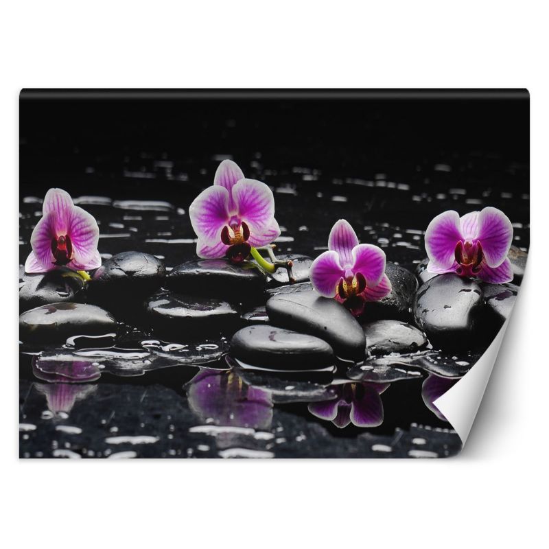 Fototapeta Feeby Kamienie zen orchidea 250x175 1 szt
