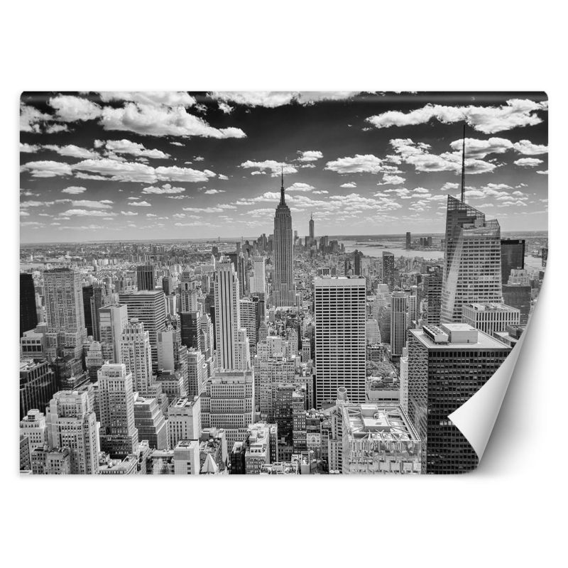 Fototapeta Feeby Manhattan panorama miasta 368x254 1 szt