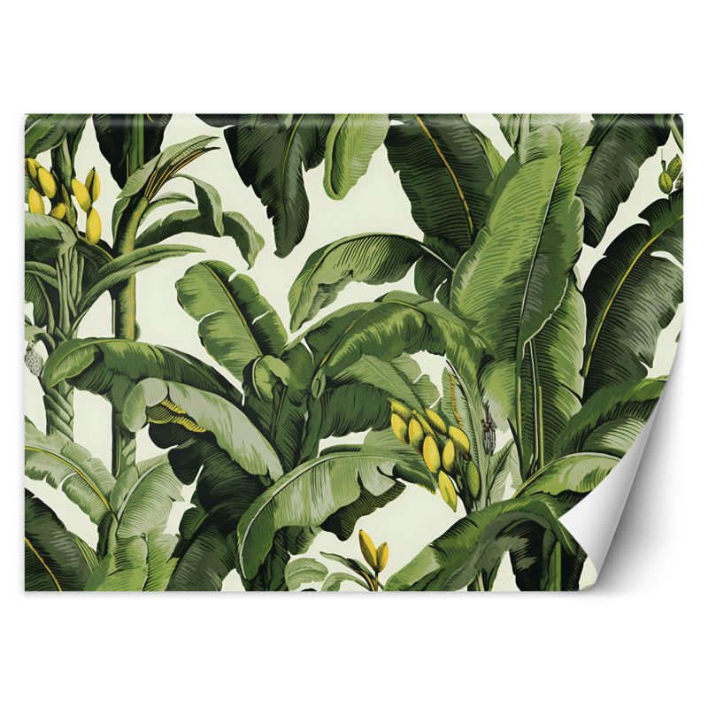 Fototapeta Feeby Zielone liście bananowca 200x140 1 szt