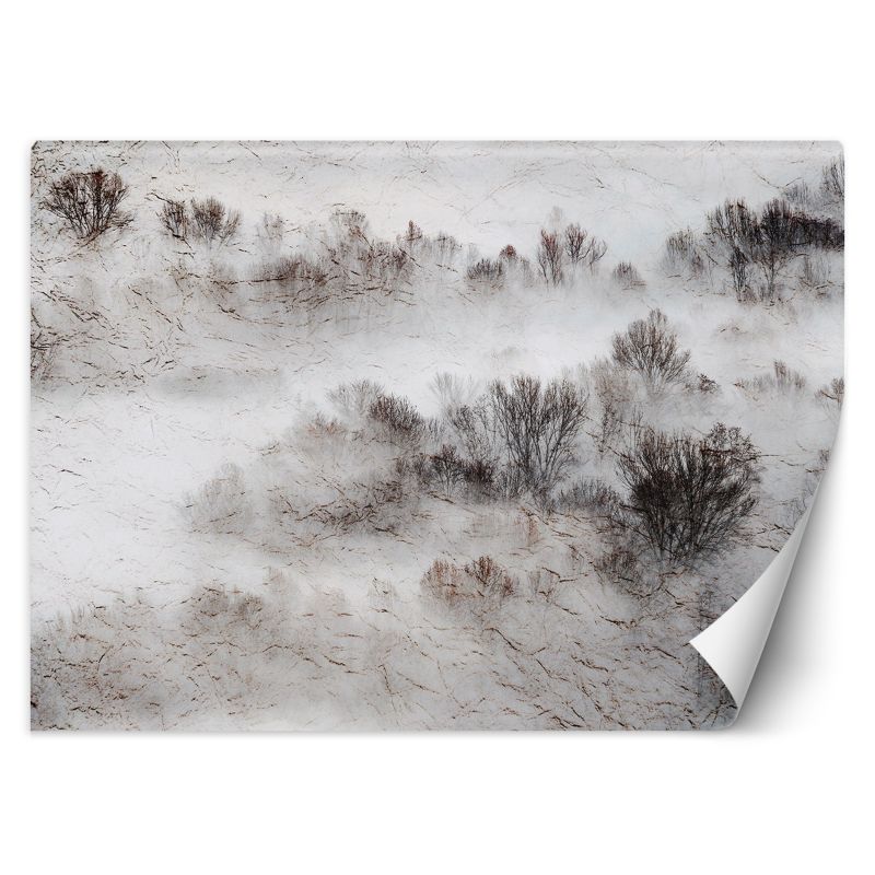 Fototapeta Feeby Łąka mgła drzewa 200x140 1 szt
