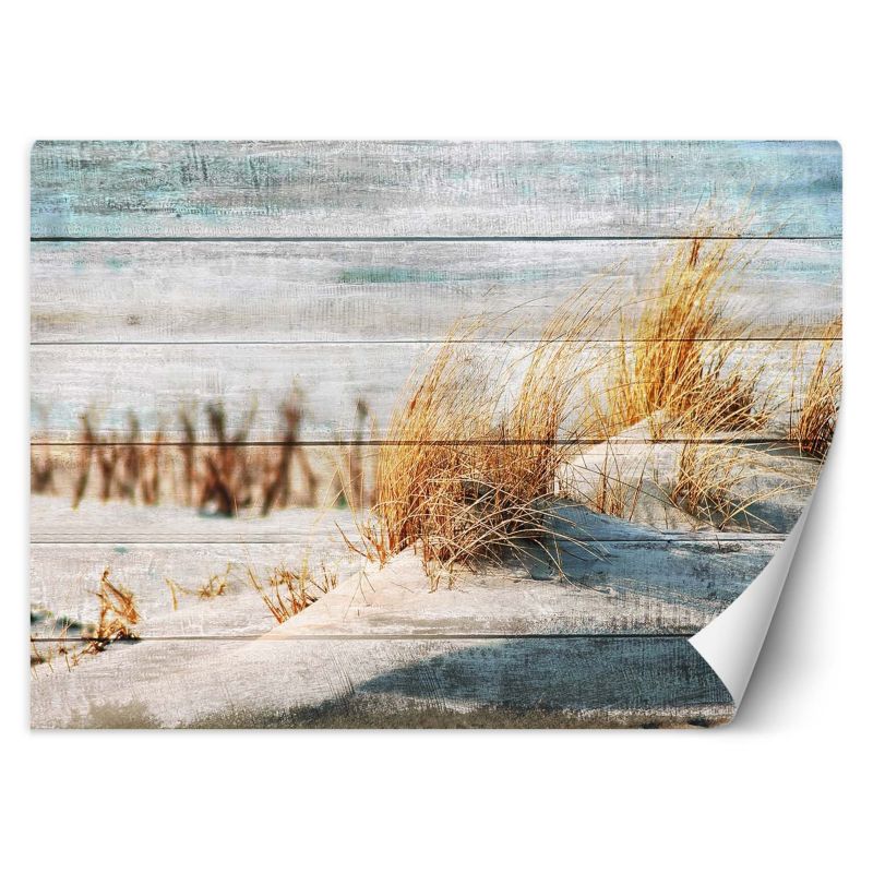 Fototapeta Feeby Wydmy plaża na drewnie 150x105 1 szt